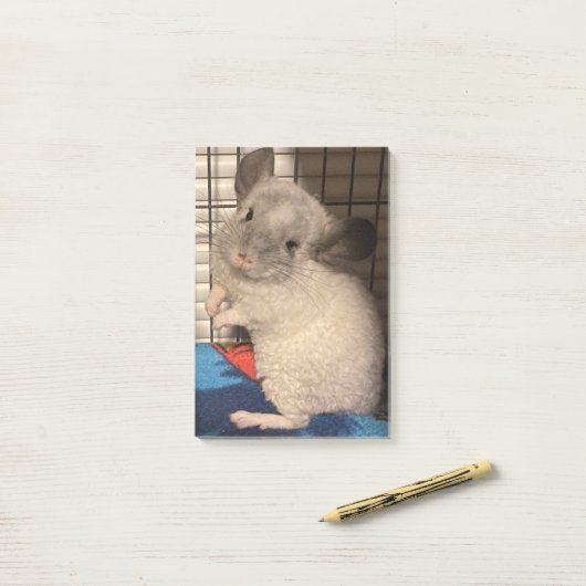 Chinchilla Post-it® Notes (Op bureau)