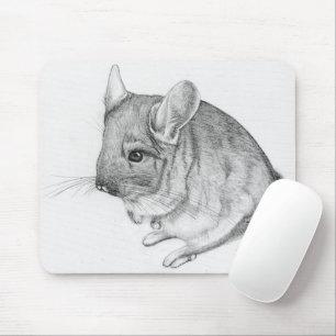 Chinchilla sur tapis de souris