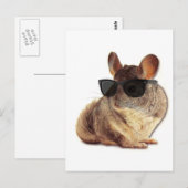 Chinchilla zonnebril briefkaart (Voorkant / Achterkant)