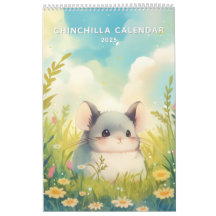 Chinchillin' het hele jaar 2025