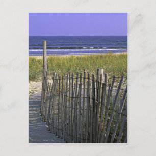 Chincoteague National Wildlife Refuge Briefkaart