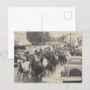 Chincoteague Pony Vintage 1941 Briefkaart