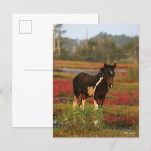 Chincoteague vezel die in rode bloemen staat briefkaart