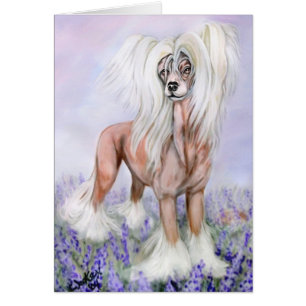 Chine Bonnets bleus cirés