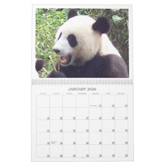 Chine - Calendrier 2020 (Jan 2026)