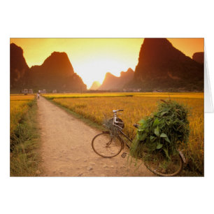 Chine, Guangxi. Yangzhou, Bicyclette à la campagne