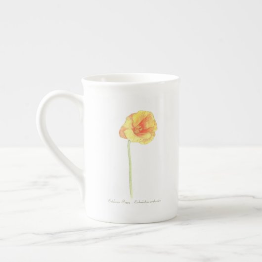 Chine Mug de Californie (Gauche)