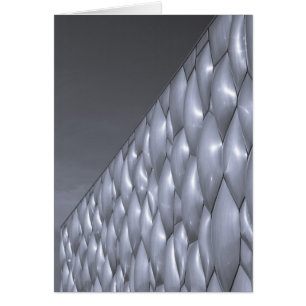 Chine, Pékin. Centre National Aquatique