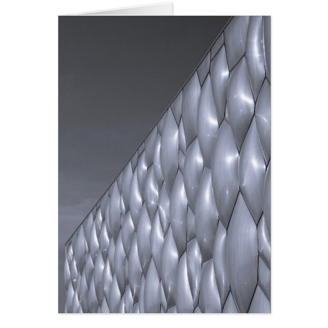 Chine, Pékin. Centre National Aquatique (Devant)