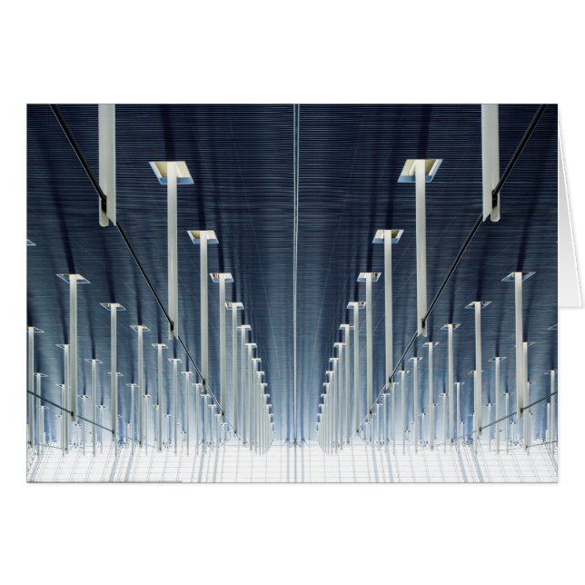 Chine, Shanghai| Aéroport international de Pudong (Devant horizontal)