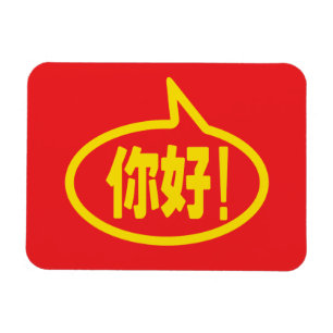 Chinees Hallo! 你 好! Ni Hao. Magneet