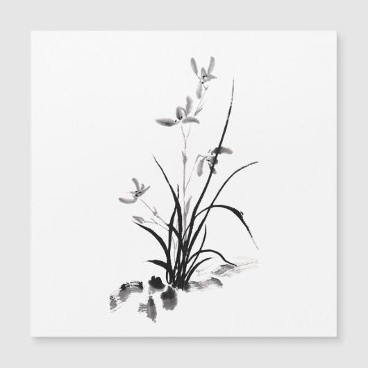 Chinees Iris - bw (Voorkant)