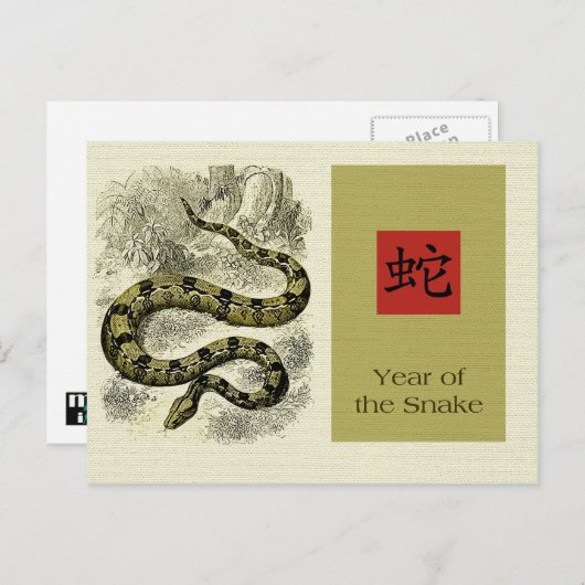 Chinees jaar van de Briefkaarten van de slang (Voorkant / Achterkant)