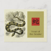 Chinees jaar van de Briefkaarten van de slang (Voorkant)