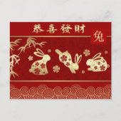 Chinees jaar van het konijn feestdagenkaart (Voorkant)