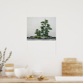 Chinees Juniper Bonsai Forest Poster (Keuken)