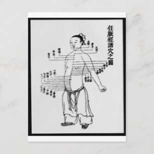 Chinees medicijndiagram briefkaart