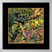 Chinees Pistachio in Herfst Poster (Voorkant)