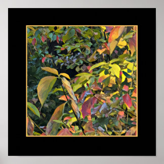 Chinees Pistachio in Herfst Poster