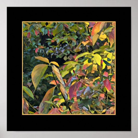 Chinees Pistachio in Herfst Poster (Voorkant)