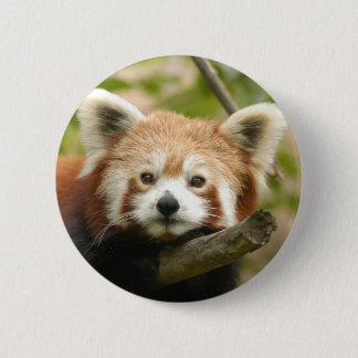 Chinees-rood-panda10x10 Ronde Button 5,7 Cm