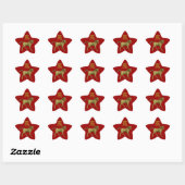Chinees Zodiac-teken: Paarden Ster Sticker (Vel)