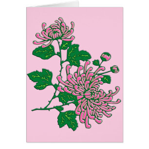Chinese chrysanten - zacht roze
