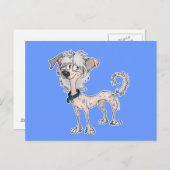 Chinese Crested Briefkaart (Voorkant / Achterkant)