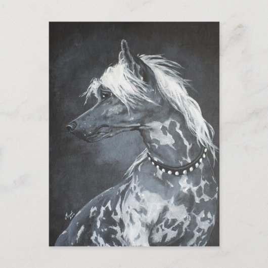 Chinese Crested Briefkaart (Voorkant)