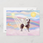 Chinese Crested Briefkaart (Voorkant / Achterkant)