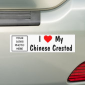 Chinese Crested Bumpersticker (Op auto)