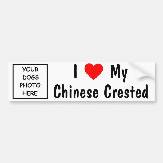 Chinese Crested Bumpersticker (Voorkant)