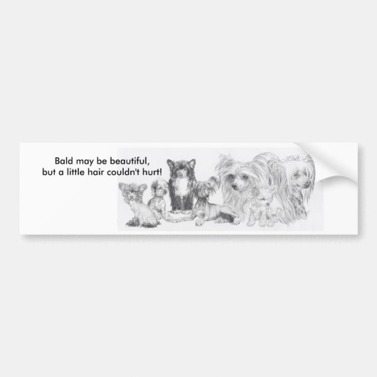 Chinese Crested Bumpersticker (Voorkant)