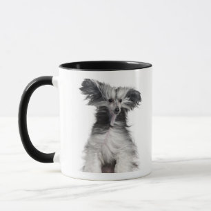 Chinese Crested Dog (15 maanden oud) in de wind Mok