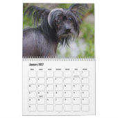 Chinese Crested Dog Kalender (Jan 2027)