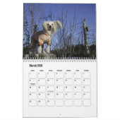 Chinese Crested Dog Kalender (Mar 2026)