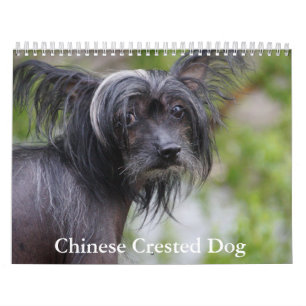 Chinese Crested Dog Kalender