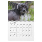 Chinese Crested Dog Kalender (Jan 2026)