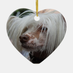 Chinese Crested Dog Keramisch Ornament