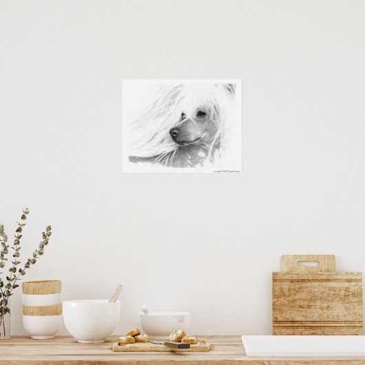 Chinese Crested Dog Poster (Keuken)