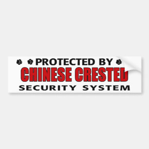 Chinese Crested Dog Security Bumpersticker