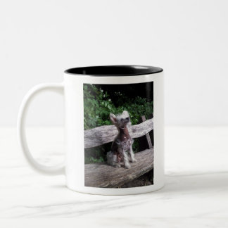 Chinese Crested Dog Tweekleurige Koffiemok
