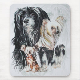 Chinese Crested Ghost Muismat