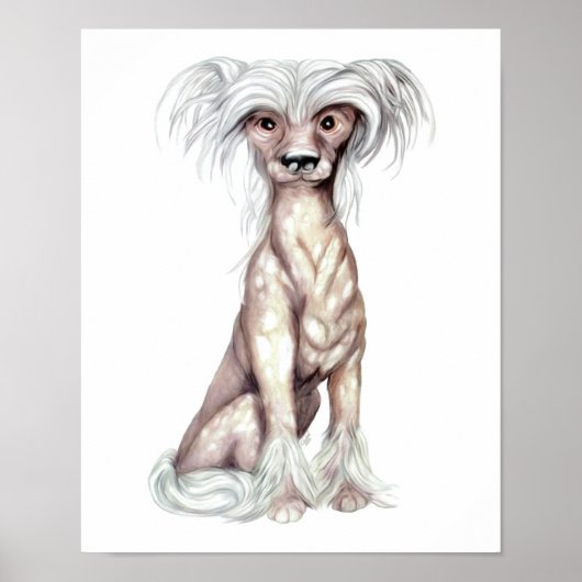 Chinese Crested Hairless Poster (Voorkant)