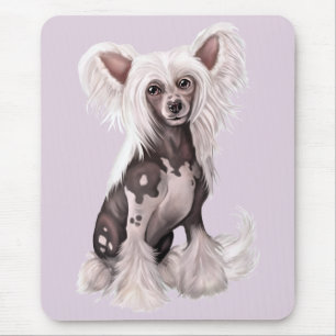 Chinese Crested Hairless Sit Muismat