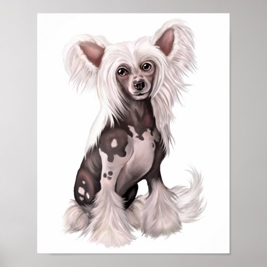 Chinese Crested Hairless Sit Poster (Voorkant)