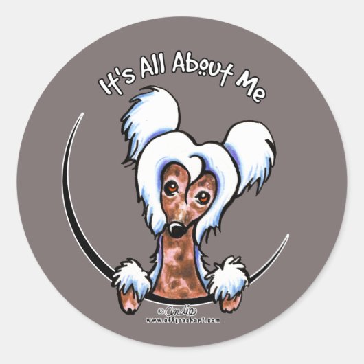 Chinese Crested IAAM Ronde Sticker (Voorkant)