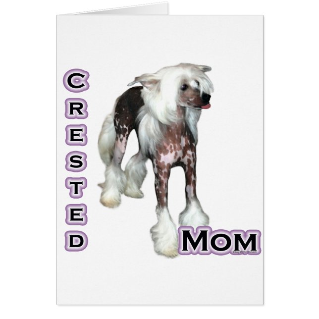 Chinese Crested Moeder 4 (Voorkant)