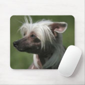 Chinese Crested Mousepad Muismat (Met muis)