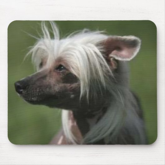 Chinese Crested Mousepad Muismat (Voorkant)